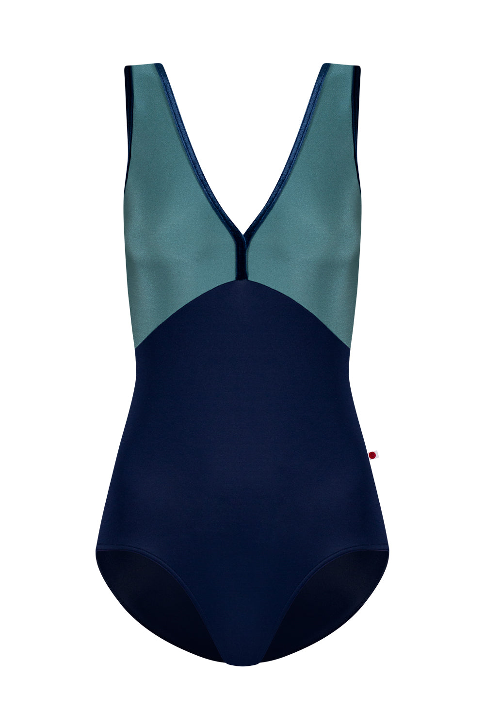 "Alicia Mesh" Tank Leotard