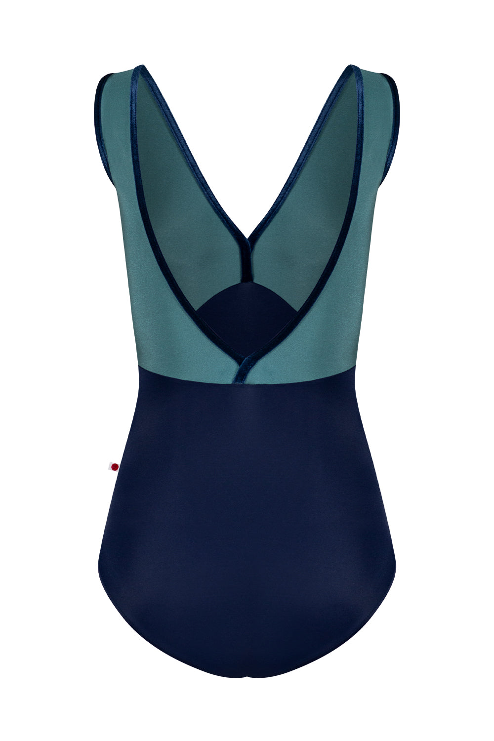 "Alicia Mesh" Tank Leotard
