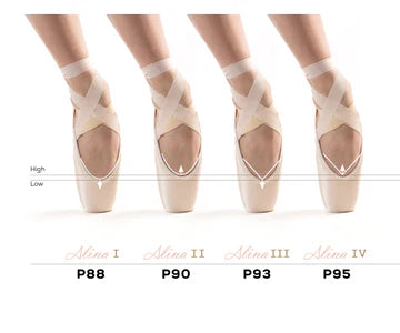 Alina IV Pointe Shoe - P95