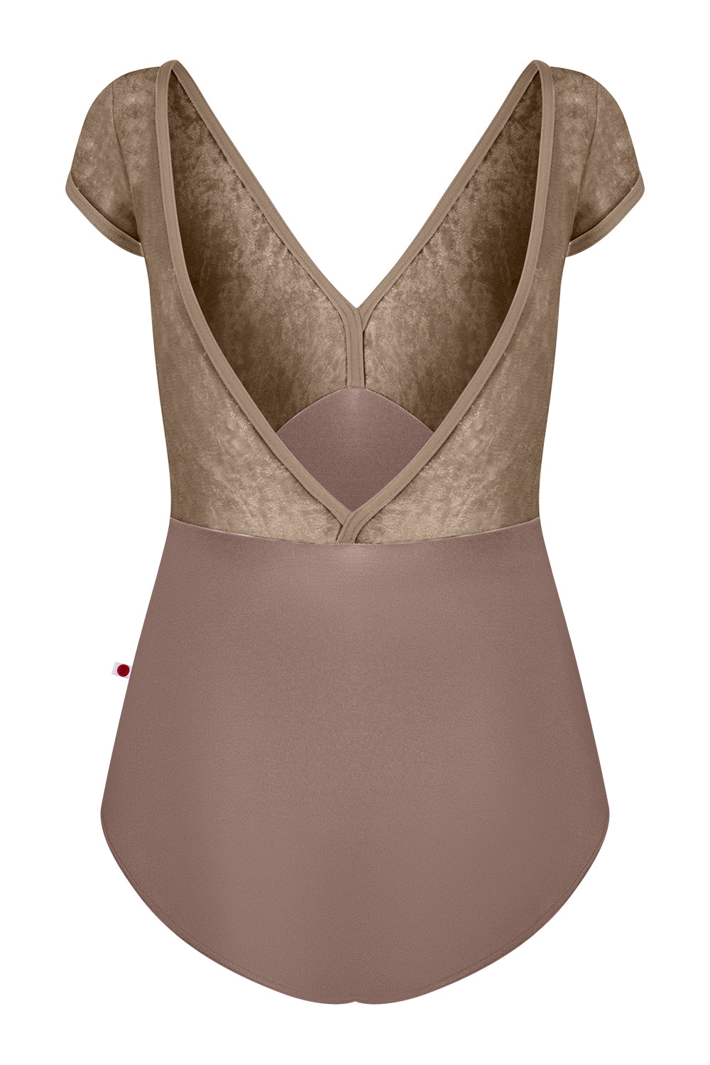 "Alicia Mesh" Short Sleeve Leotard