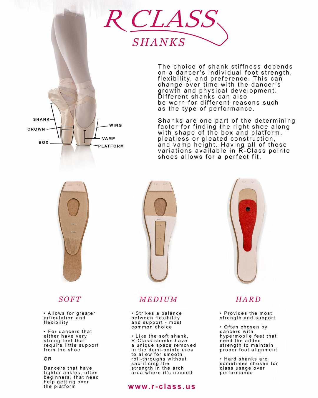 Iridescence RC40 Pointe Shoe